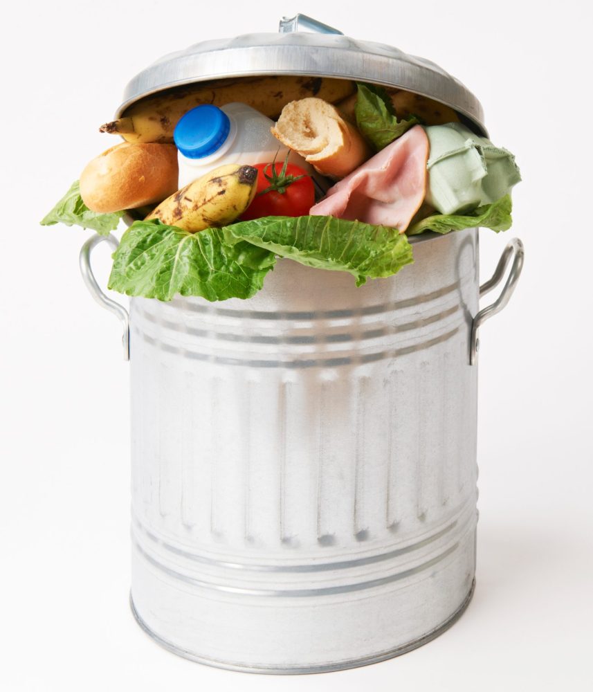 Fresh,Food,In,Garbage,Can,To,Illustrate,Waste